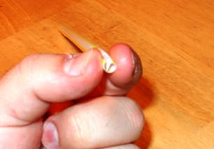 The balloon hovercraft’s inflater straw